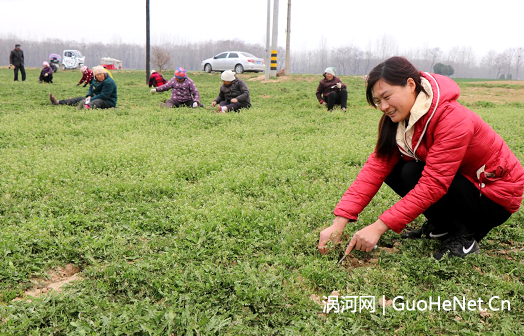 仲春时节田管忙
