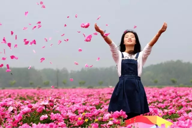 上车！带你去看“醉美”芍花海，绝对不虚此行！