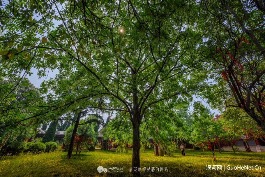 图文幸福花园儿