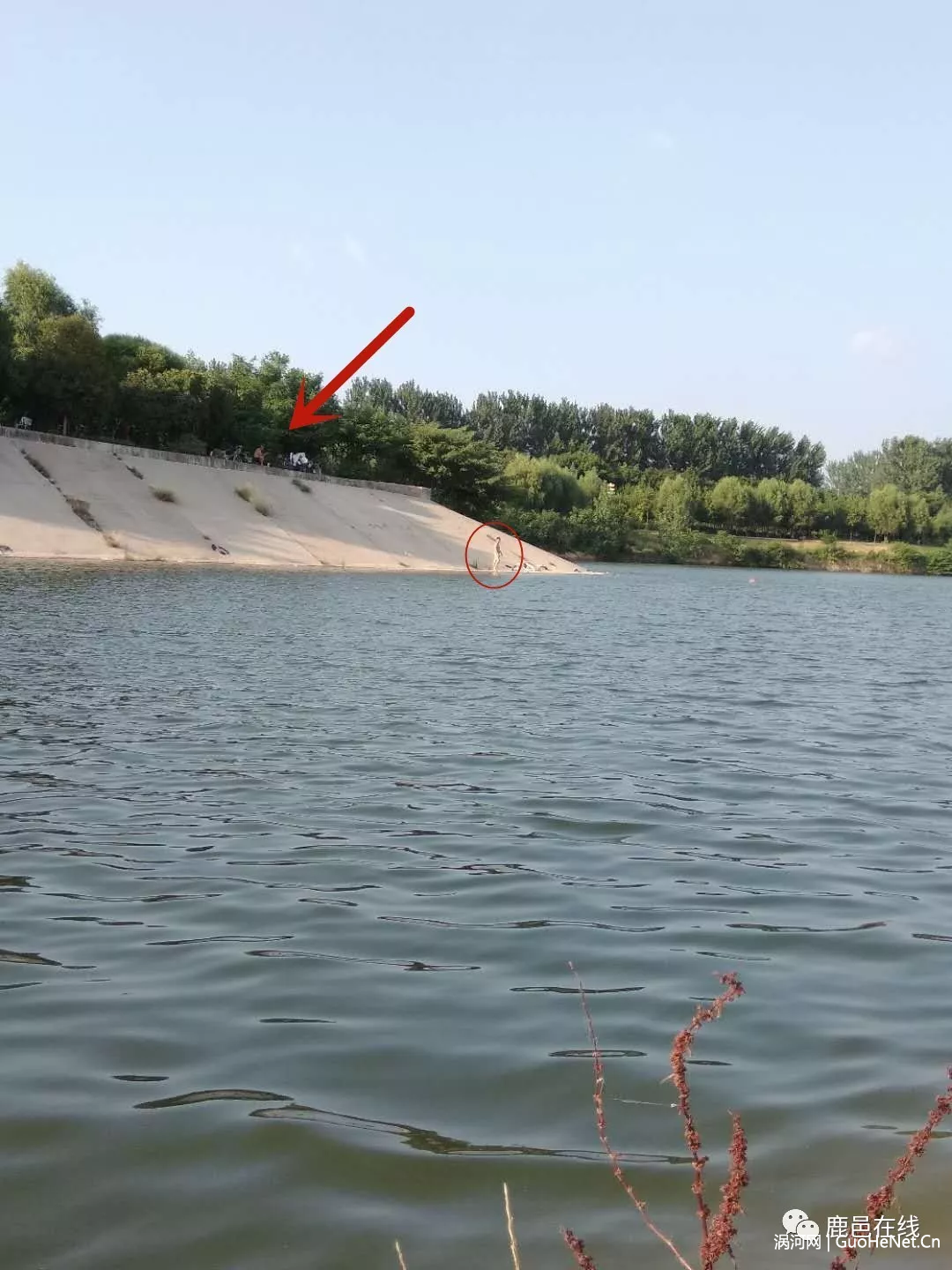 涡河大闸现4名裸泳男子 网友:不要给鹿邑抹黑