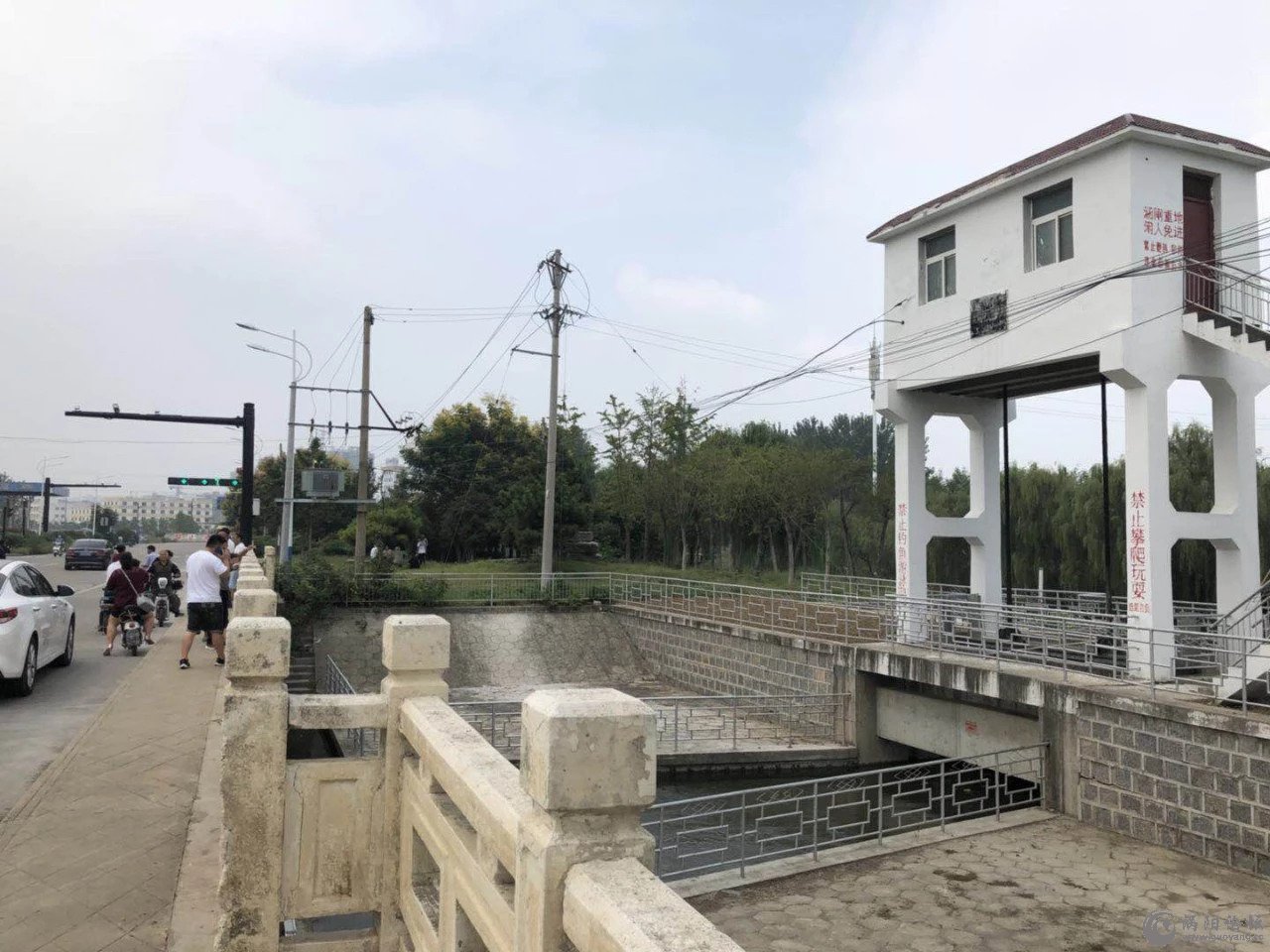 涡阳法治广场附近河面，发现一具女尸！（视频）