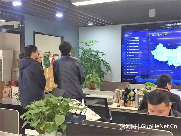 涡阳县商务局主任科员罗会增一行莅临淘金集团总部参观考察