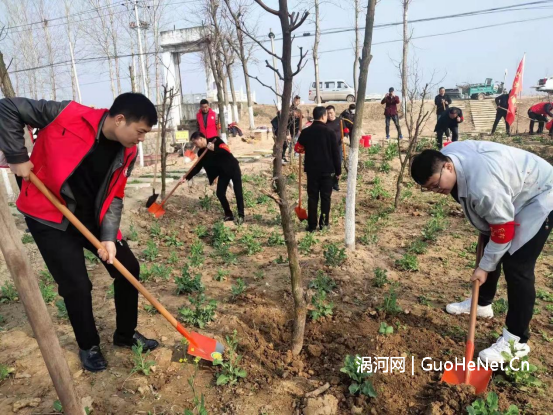 1647182507566167.png image.png