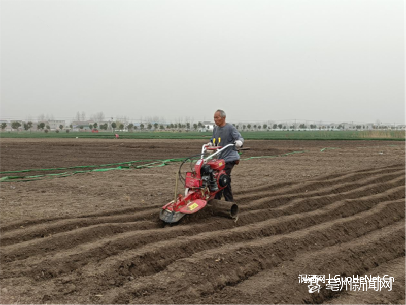 工人正在生姜田里翻耕打岭