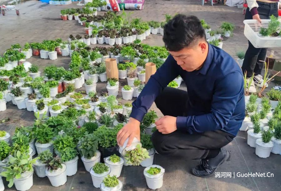 1649166797315501.png image.png