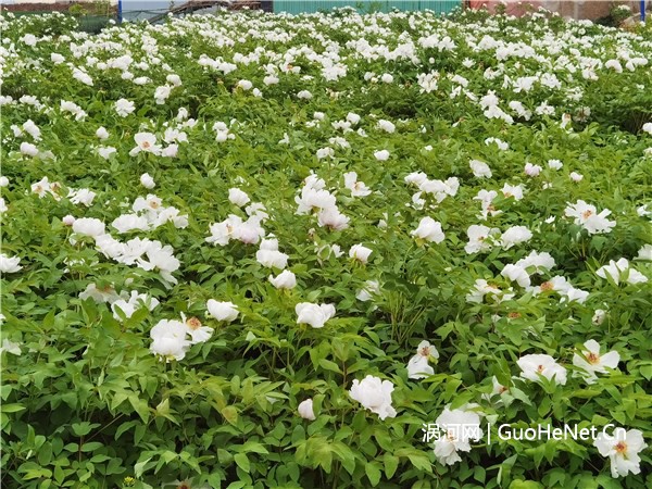 1649920892140888.jpg dc30663fd4e4dc1ba97441273a7993d3_20220413f74ccf2004ab400f8bbc685a2df7a1c2_l.jpg