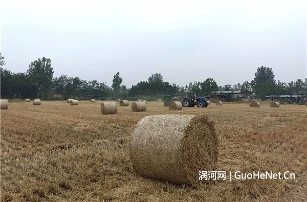 1655175414204521.jpg 4b2c15697a94ab7631da7850d03dead8_20220610e24e94f0ee7e46e08cd7cb855444fed5_l.jpg