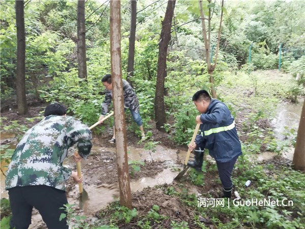 1657245501196324.jpg 15d87a39335042153cf01e9535a5c315_20220707115871ae5b794d42bc3e2c24dbf68abc_l.jpg