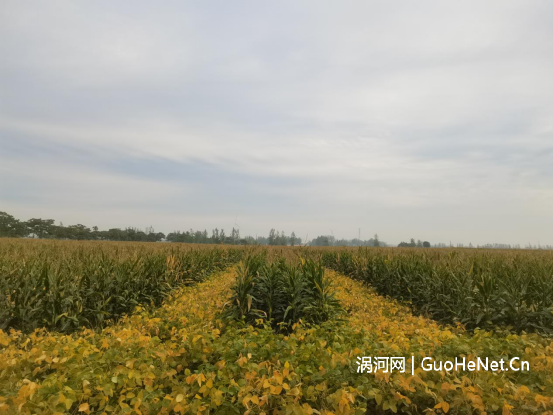 1664843950173756.png image.png