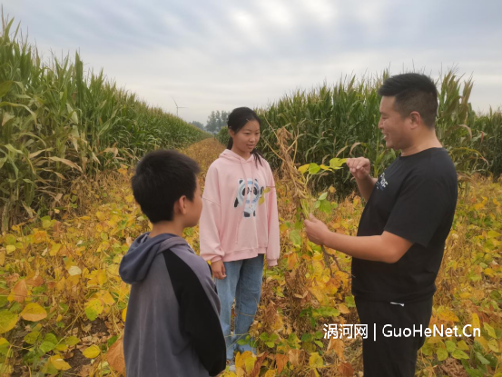 1664843967175560.png image.png