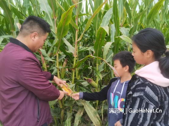 1664843980203676.png image.png