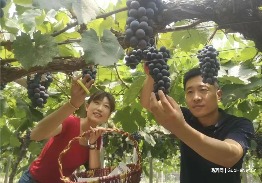 1665127985205007.jpg a3e9c7ad1e2b68effed07acb147251cc.jpg