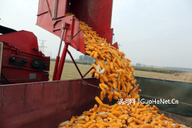 1666247858204296.png image.png