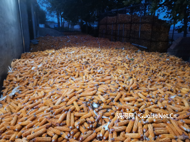 1666247869175389.png image.png