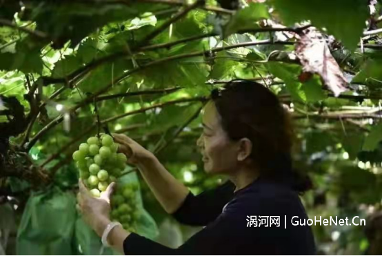 1668914410535372.png image.png