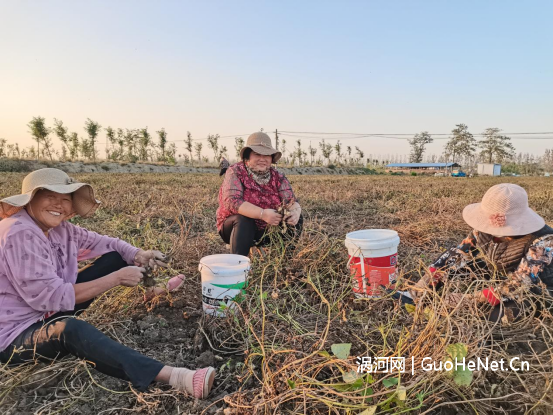 1668914837167978.png image.png