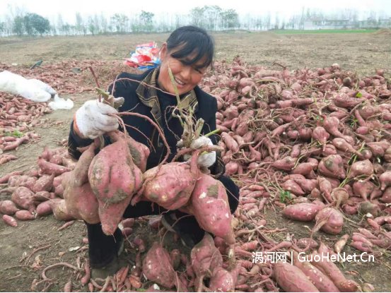 1668914958110640.png image.png