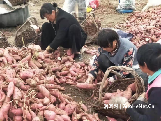 1668914972739506.png image.png