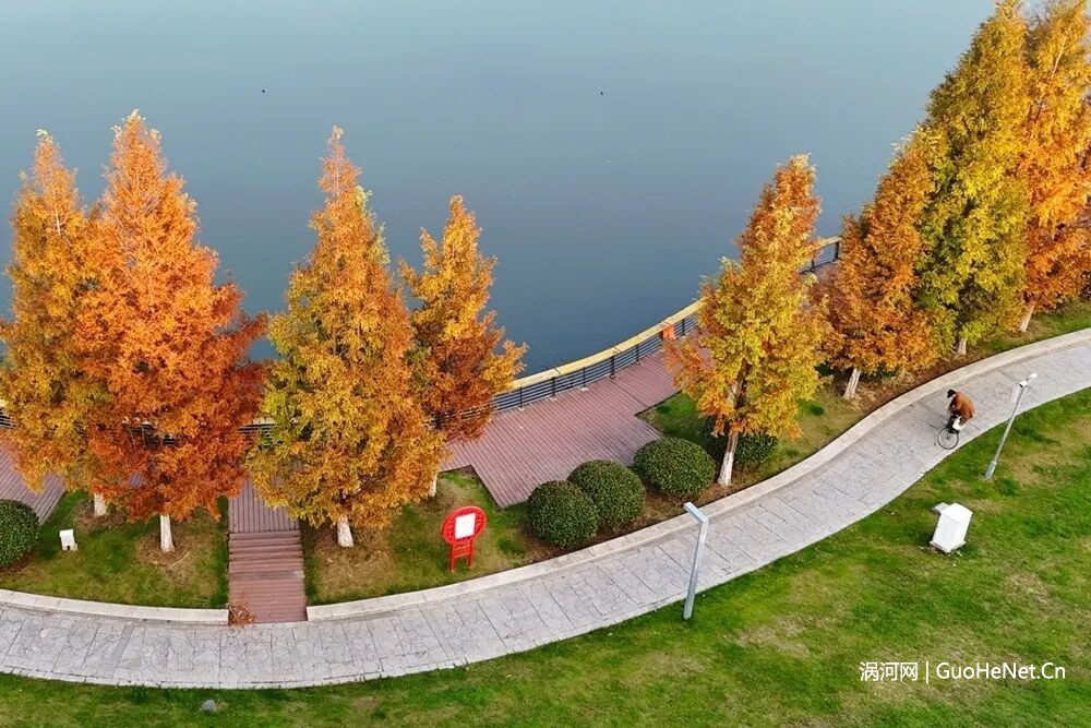 打造宜居城市 绘就初冬美丽画卷