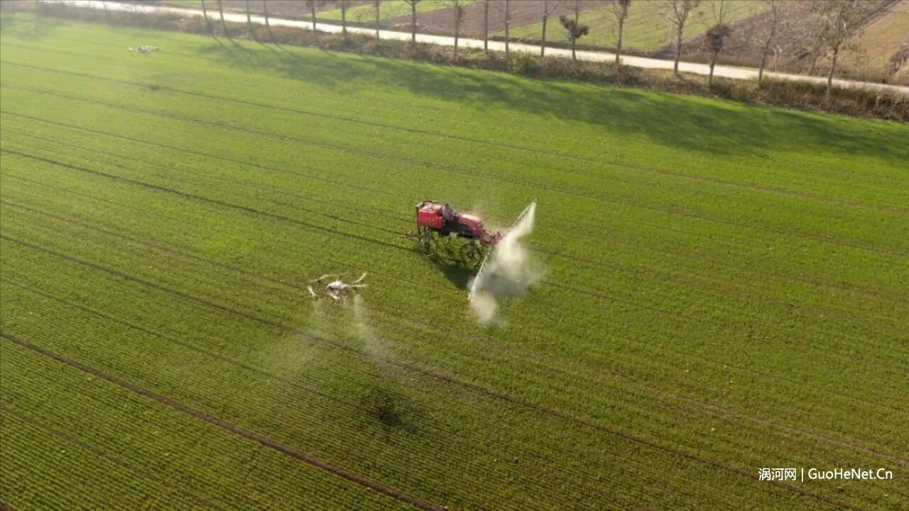 科学田管为小麦披上“防护甲”