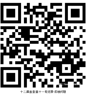 “码上巡察”网络平台