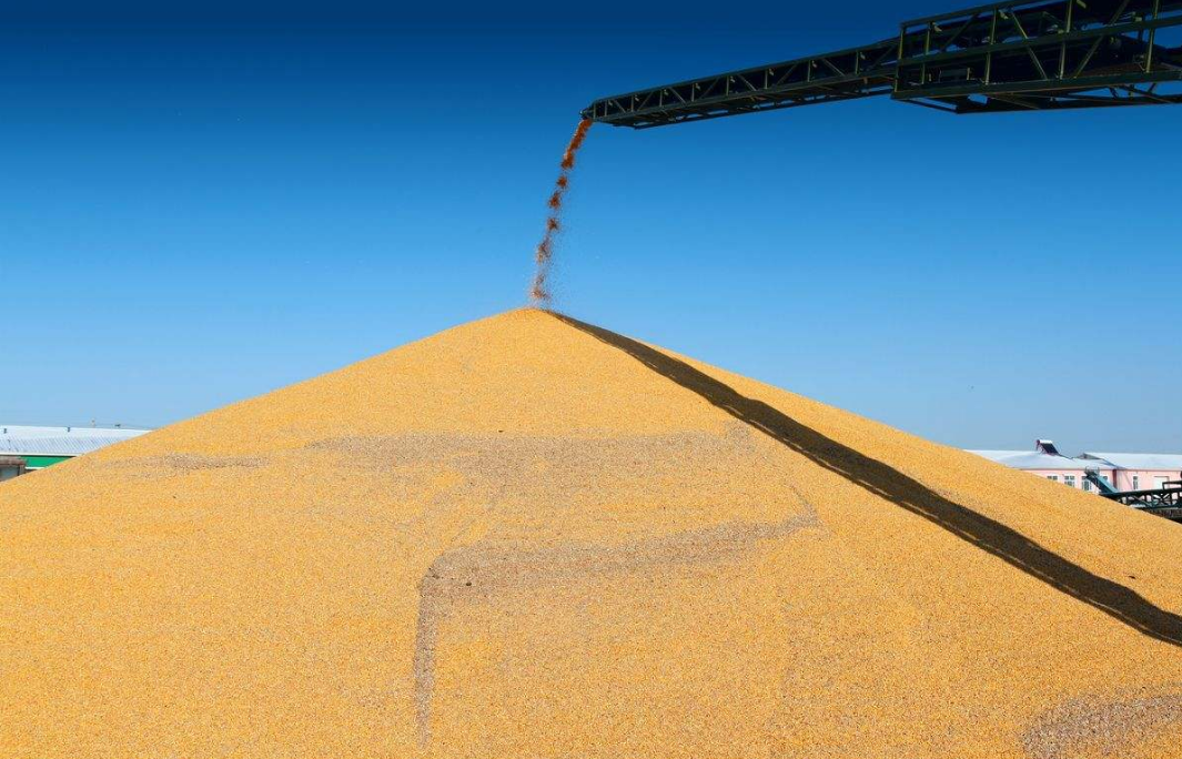 涡阳：男子粮仓顶部干活 坠入漩涡险窒息